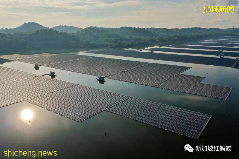 新加坡氣溫70年來升高1.8攝氏度　未來熱浪、強降雨和洪水將惡化