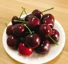 携大量现金、违禁品入境新加坡,23人被抓!这些“雷区”劝你不要踩