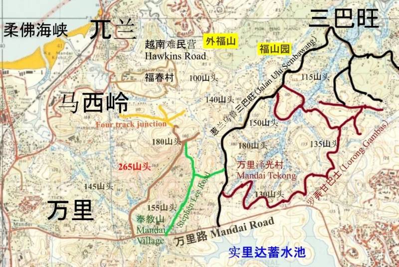 三巴旺——蜕变的山林