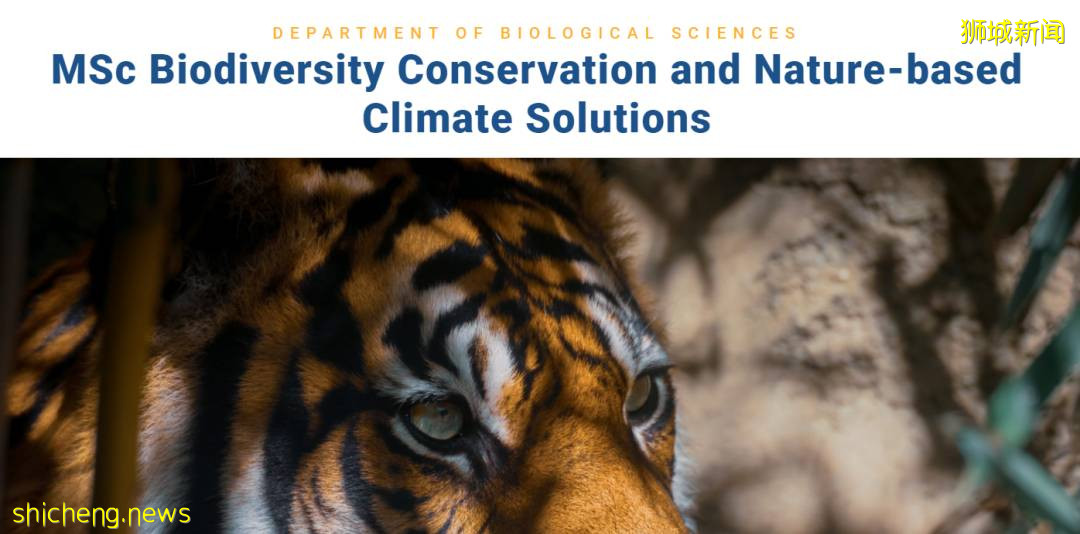 NUS理工科碩士項目開放申請