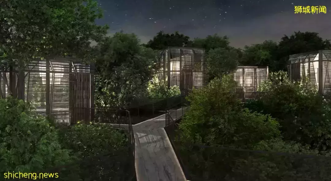 新加坡全面解封，莱佛士梅开二度、艾迪逊首秀，太让人期待