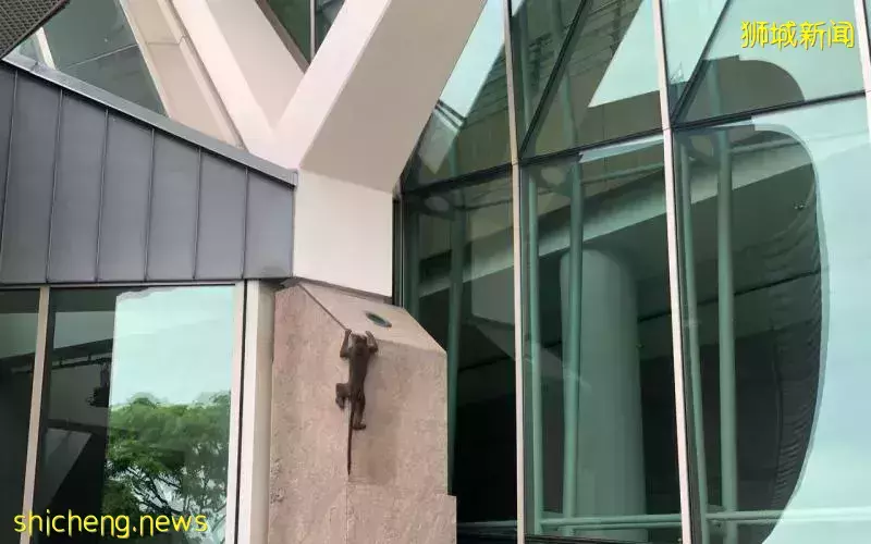 美猴昨早嬉戏滨海湾