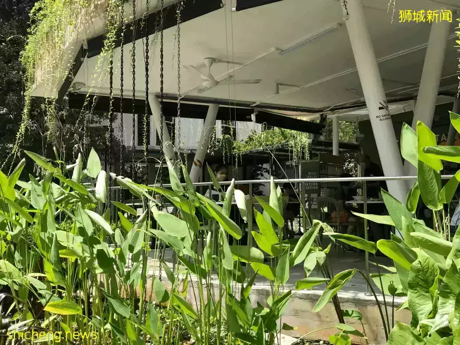 5家網紅小販入駐!新加坡植物園美食廣場開業