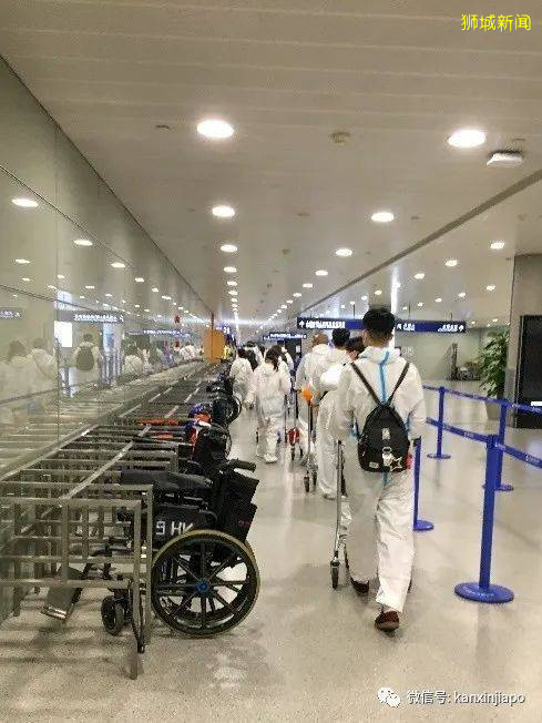 最新經驗分享,從新加坡飛上海我經曆了啥