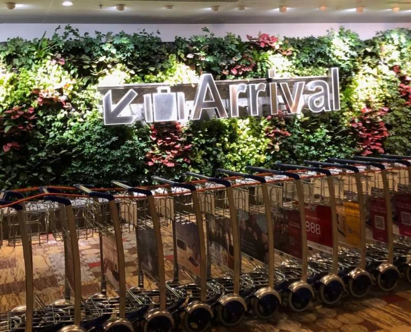 新加坡丨雨季里，我路过一个未来世界（上）