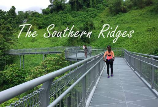 知道新加坡这10条美爆了的户外跑步路线后,跑步真的成为了一种享受