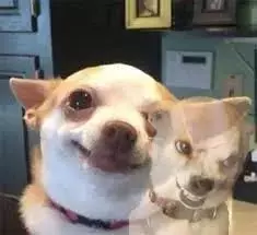 大型社死現場!我在新加坡相親,竟然遇到了中學老師