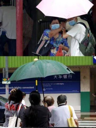 为您点个赞，牛车水女子下雨天为路人撑伞过马路