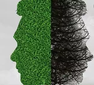 心理健康很重要，未来两年新加坡中小学和高中将会推出相应课程