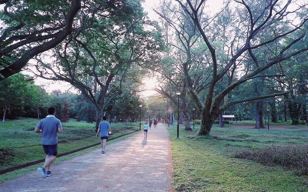 這個周末去徒步吧！（朋友攜伴、親子活動）