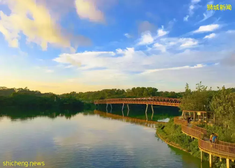 甩肉去！新加坡最美9条骑行路线