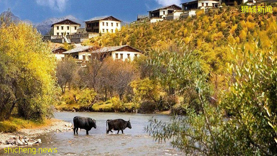 原来这十个“洋品牌”,竟然都是新加坡籍