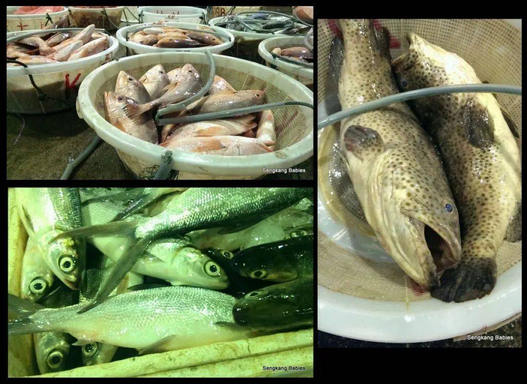 新鮮肉類、海鮮，最全中國食材……價格是超市一半！新加坡必逛8大菜市場