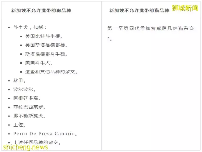 耗时6个月,隔离30天,我的宝贝终于来新加坡跟我团聚了