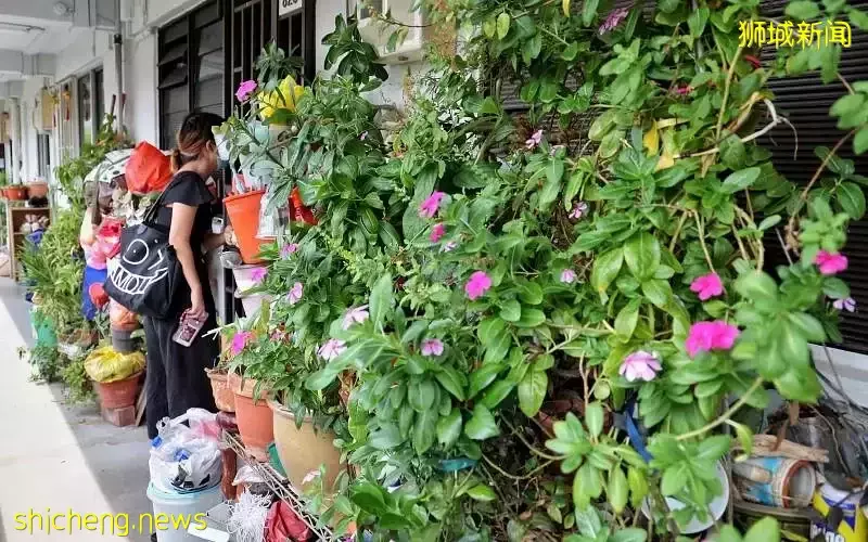 邻居回收物堆满走廊 阿叔诉：火患怎么办