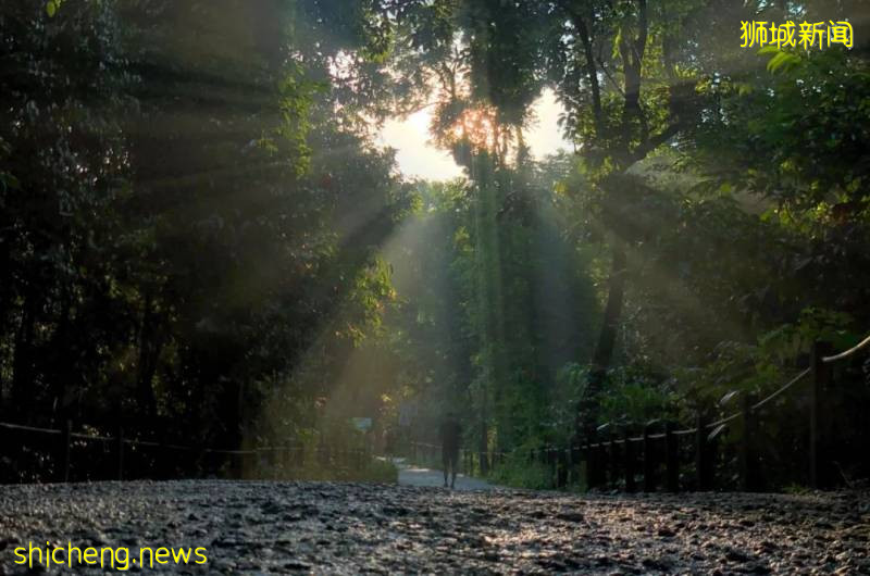 昨天傍晚，你是否欣賞到美麗的日落和絢麗的彩虹
