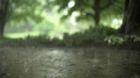 今天,新加坡被大暴雨淹沒了!