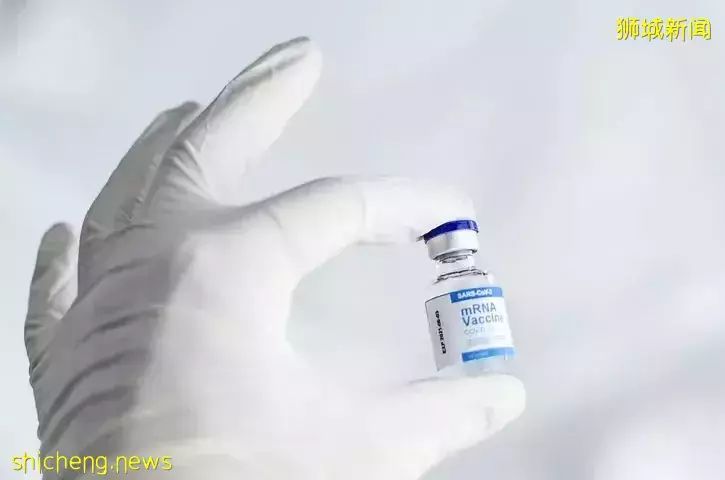 又双叒叕可以出去玩了?新加坡迎来出国旅游“窗口期”