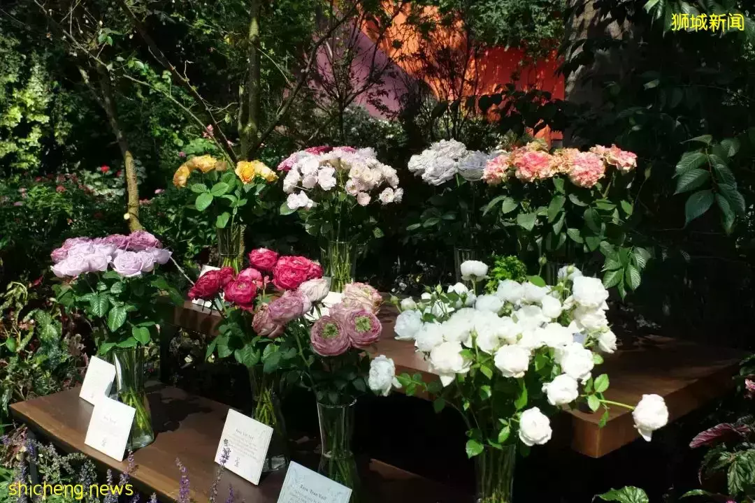 大牌美妝4折起！親子卡丁車！恐龍樂園、挖掘機、水上樂園免費玩