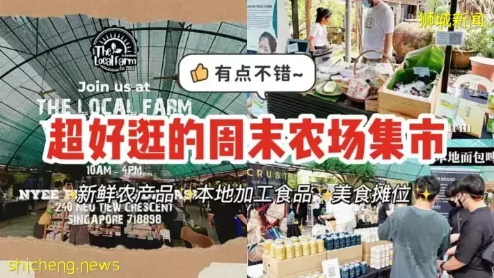 超治愈The Local Farm农夫市集终于回归啦!本地有机农产品、集市现场制作零食超好逛