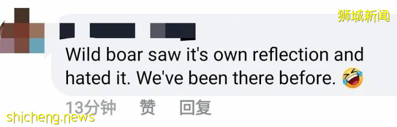 解封首个周末奇葩事件！温泉轮流泡脚10分钟、野猪野鸡也疯狂