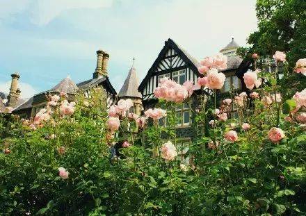 实名羡慕！现实版的梦游仙境，你家有吗