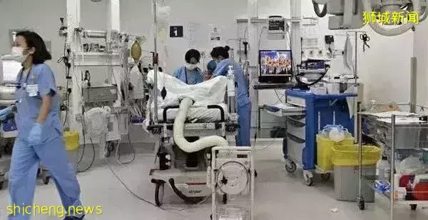 新加坡上班族等巴士,突遭車輪擋飛來砸頭!腦內大出血