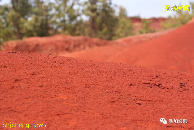 最全名字來曆大起底!新加坡綠線36個地鐵站,你知多少