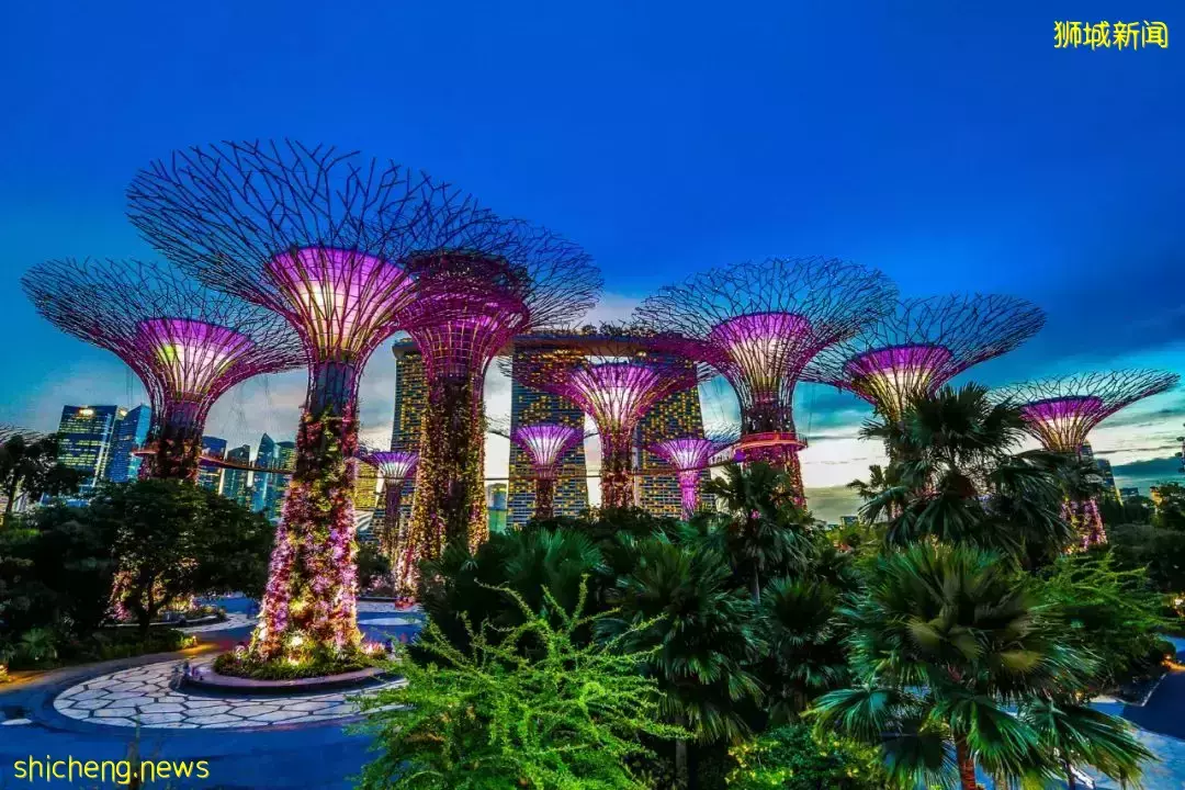 新加坡 熱門住宅：哪些地區將會成爲人們最感興趣的投資寶地