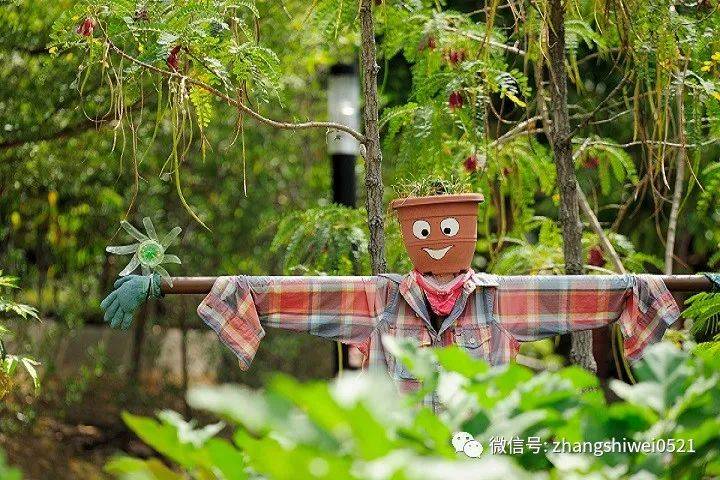 新加坡遊記系列 行走在南部山脊