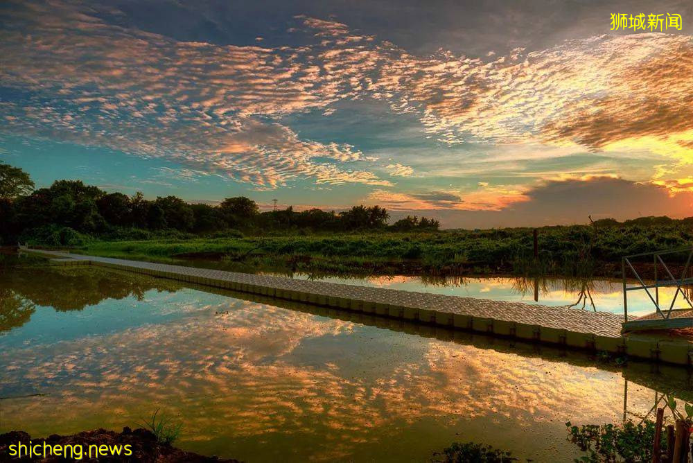 周末帶娃去徒步!10米高木塔、農場、木棧道,湖天一色好美