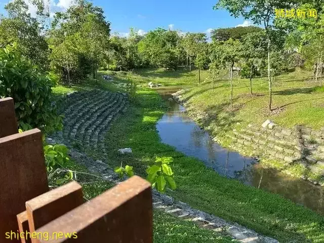 告別“塑料遊樂場”，看新加坡的公園如何诠釋“高大上”