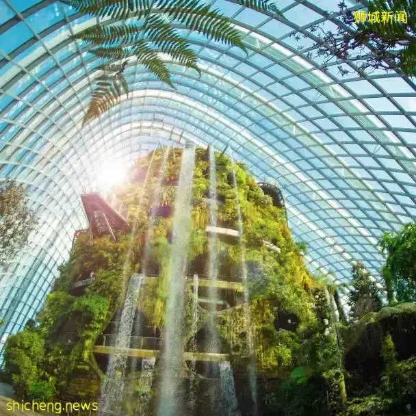 亚洲首个可“滑雪”滑水滑板场馆登陆新加坡!S.E.A海洋馆又迎全面升级