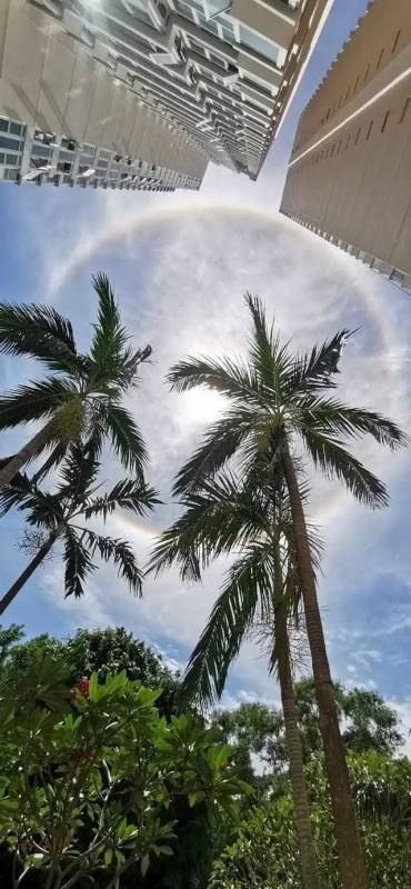 新加坡驚現絕美日暈彩虹光環，李顯龍總理、王瑞傑副總理也轉發了