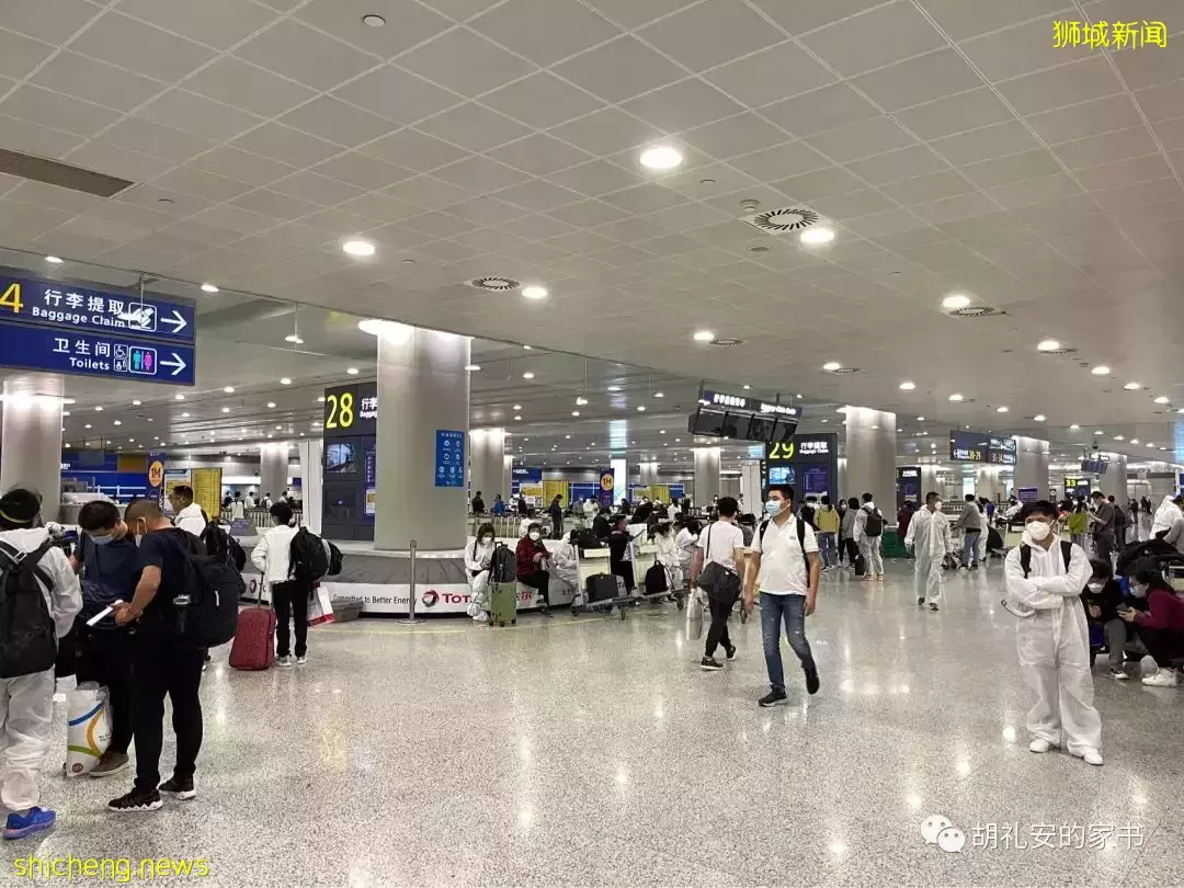 全過程記錄!4月4日從新加坡飛往封城中的上海,入境隔離多圖