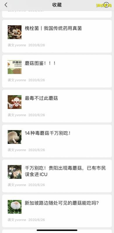 新加坡大雨一直下,媽媽這個是啥蘑菇?能吃嗎?額