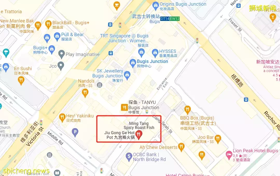 吃到扶墙出!在新加坡,我是这么实现海鲜自由的