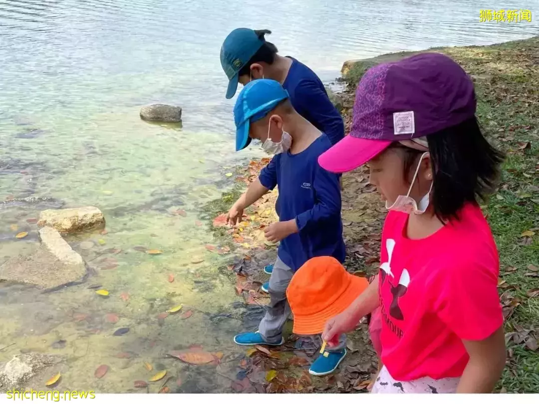 叢林探險、生存挑戰！新加坡戶外學校的6大假期營超級寶藏