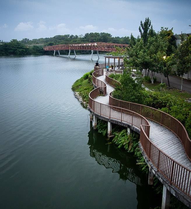 惬意悠閑“木板路”合集!新加坡11大自然景區⭐️ 林間漫步攻略+絕美海濱棧道