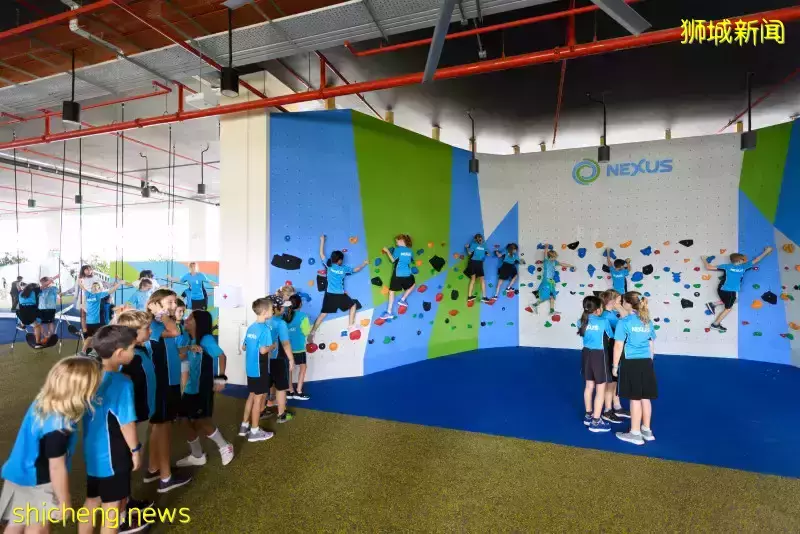 史上最強攻略!在新加坡如何選學校?國際學校vs政府學校,哪個好