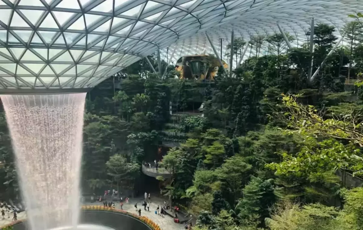 巩俐是新加坡籍的?新加坡还有哪些冷知识,网友:真羡慕