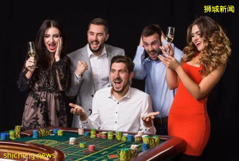 新加坡“博彩公司”居然投資研發電子導盲犬!導盲犬要失業了