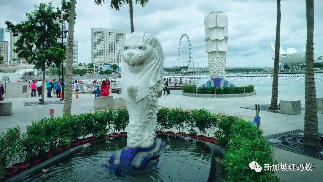 日本和歐洲也有魚尾獅? 它比你我知道的還要神出鬼沒