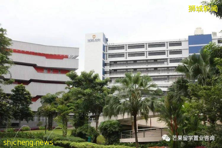 新加坡理工學院，到底是不是“大專”