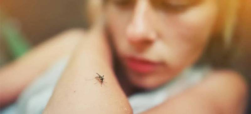 新加坡今年骨痛热已有28例死亡!和新冠一样多!症状更可怕