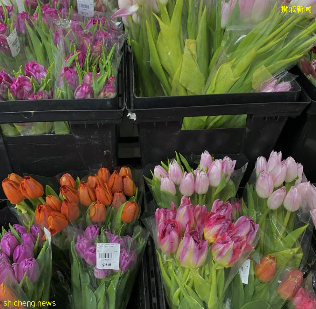 狮城5月公共假期去哪玩,攻略都在这里了