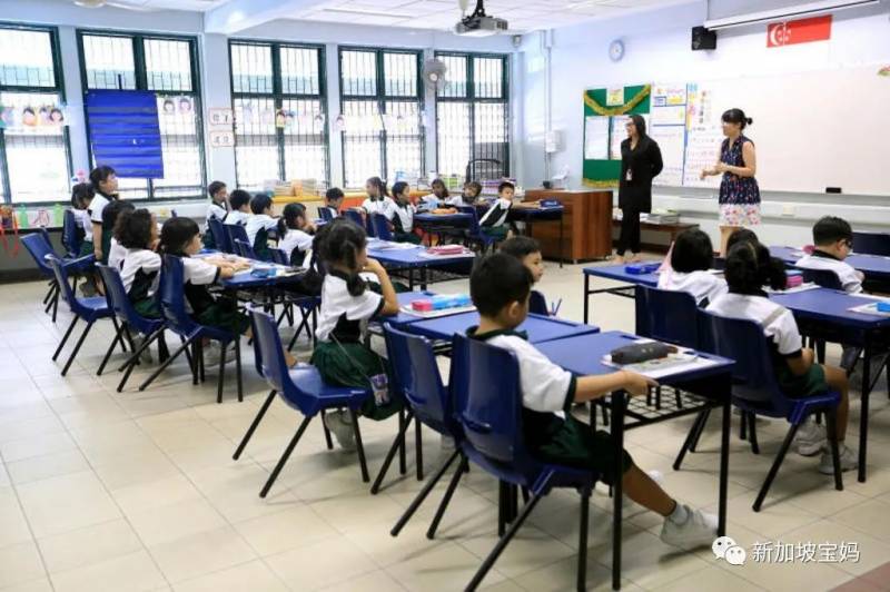 拼爹、拼房、拼義工……爲了孩子上小學，新加坡家長有多拼