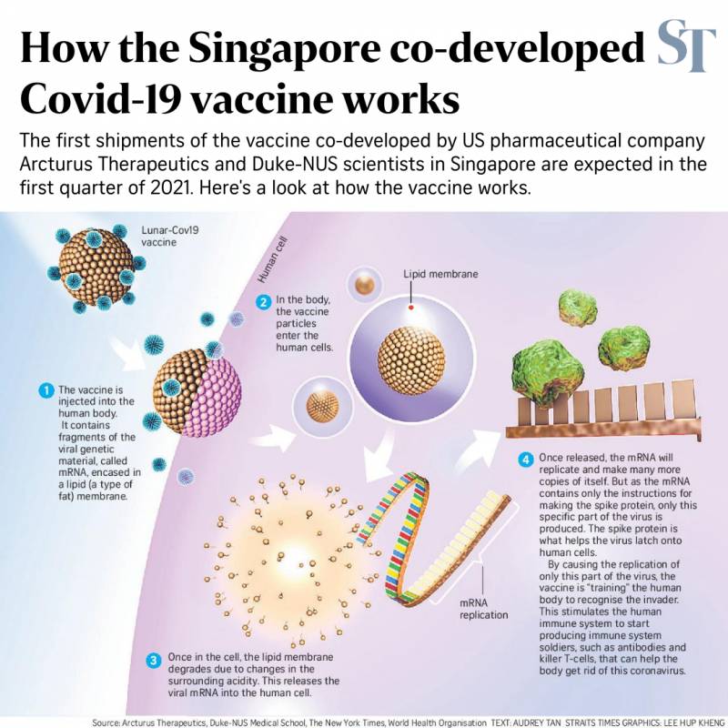 新加坡最早可在2021年初获得新冠疫苗，全球疫苗进度大盘点