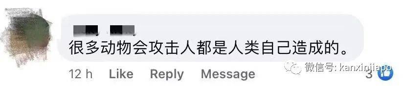 14只水獭在新加坡植物园被小孩们“追杀”,父母竟也加入战局