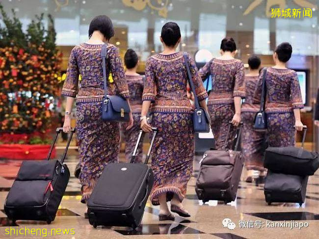 这些高颜值新加坡艺人，曾经当过新航空服员